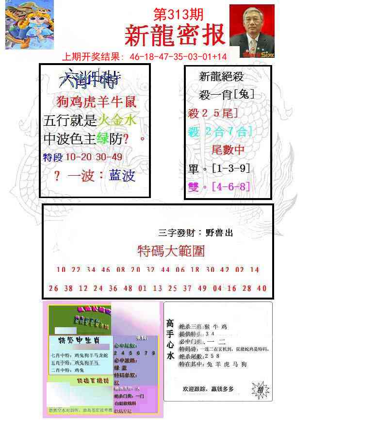 313期新龙密报[图]