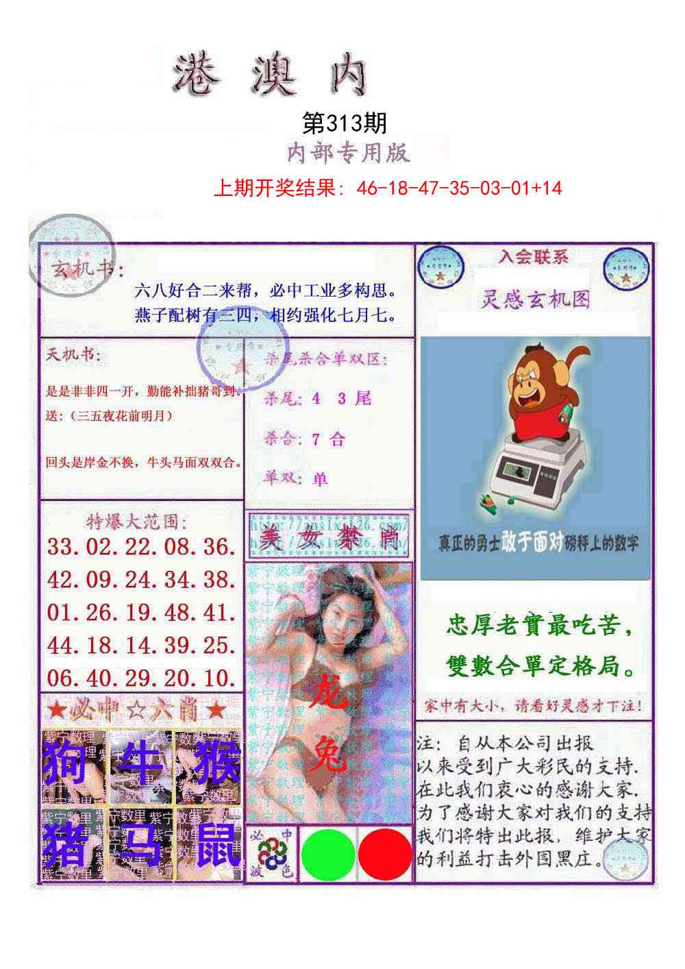 313期港澳内幕报[图]