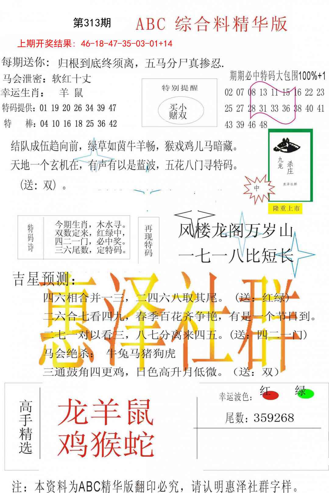 313期综合正版资料[图]