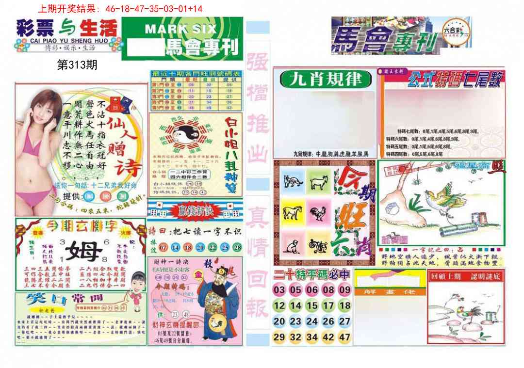 313期马会专刊A[图]