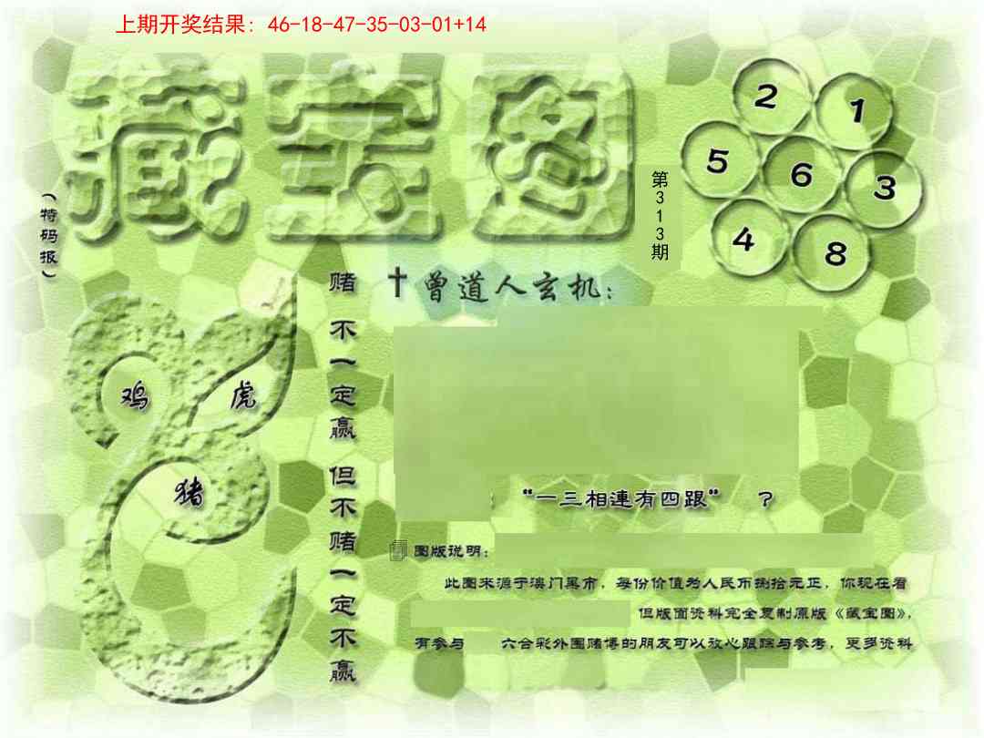 313期假新藏宝图[图]