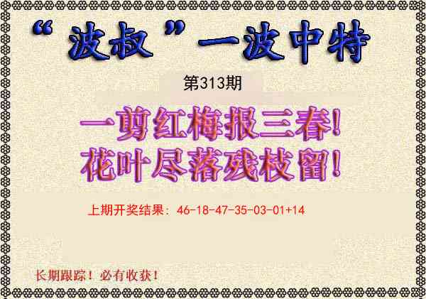 313期波叔一波中特[图]
