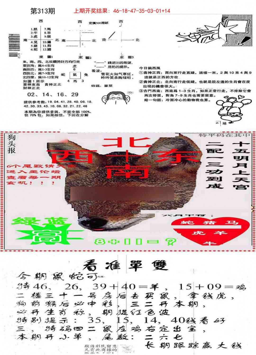 313期特码内幕B[图]