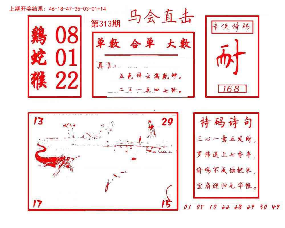 313期马会直击[图]