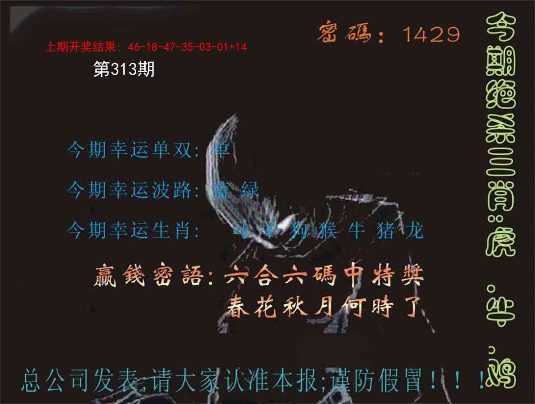 313期特码报[图]