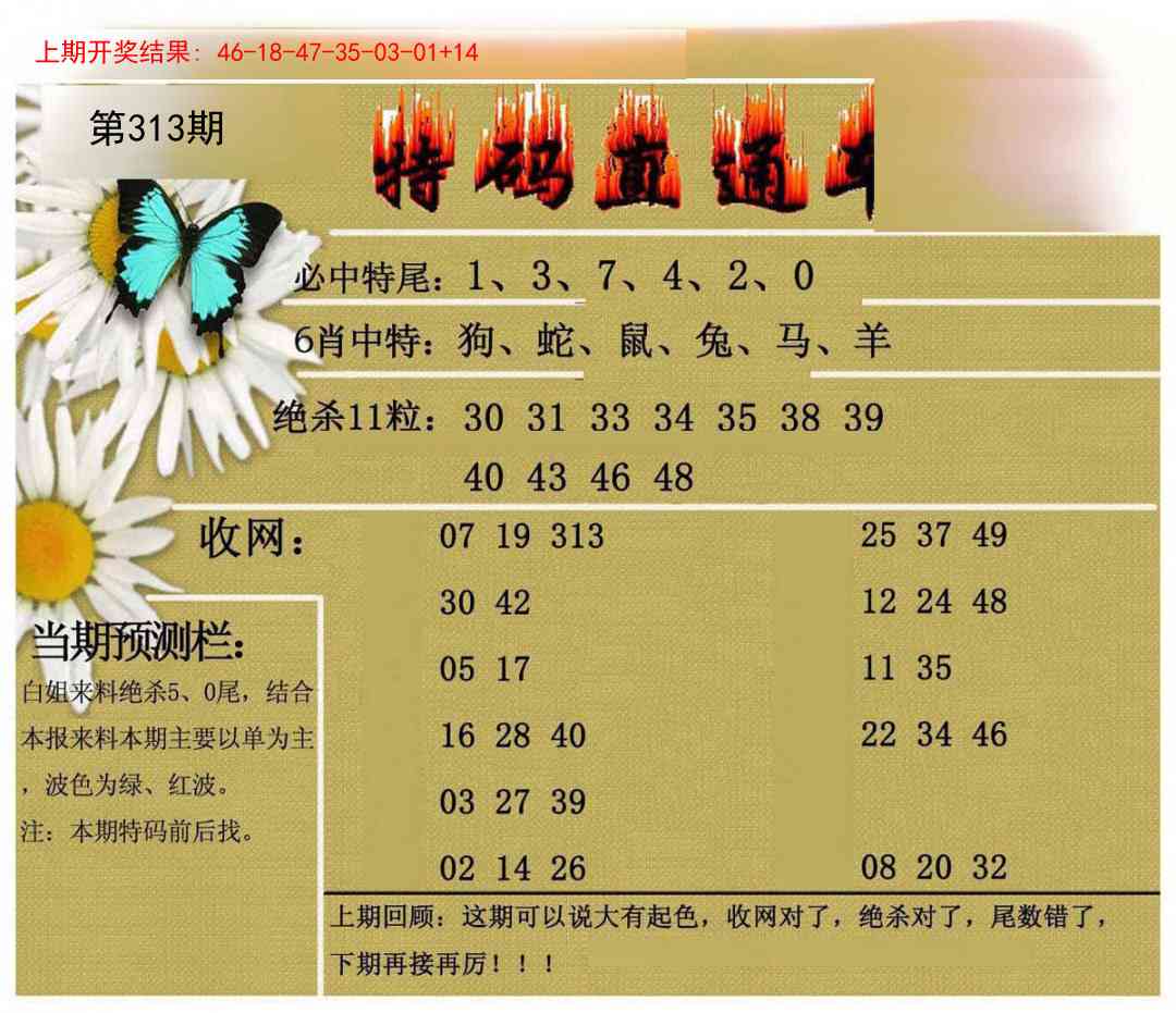 313期特码直通车[图]