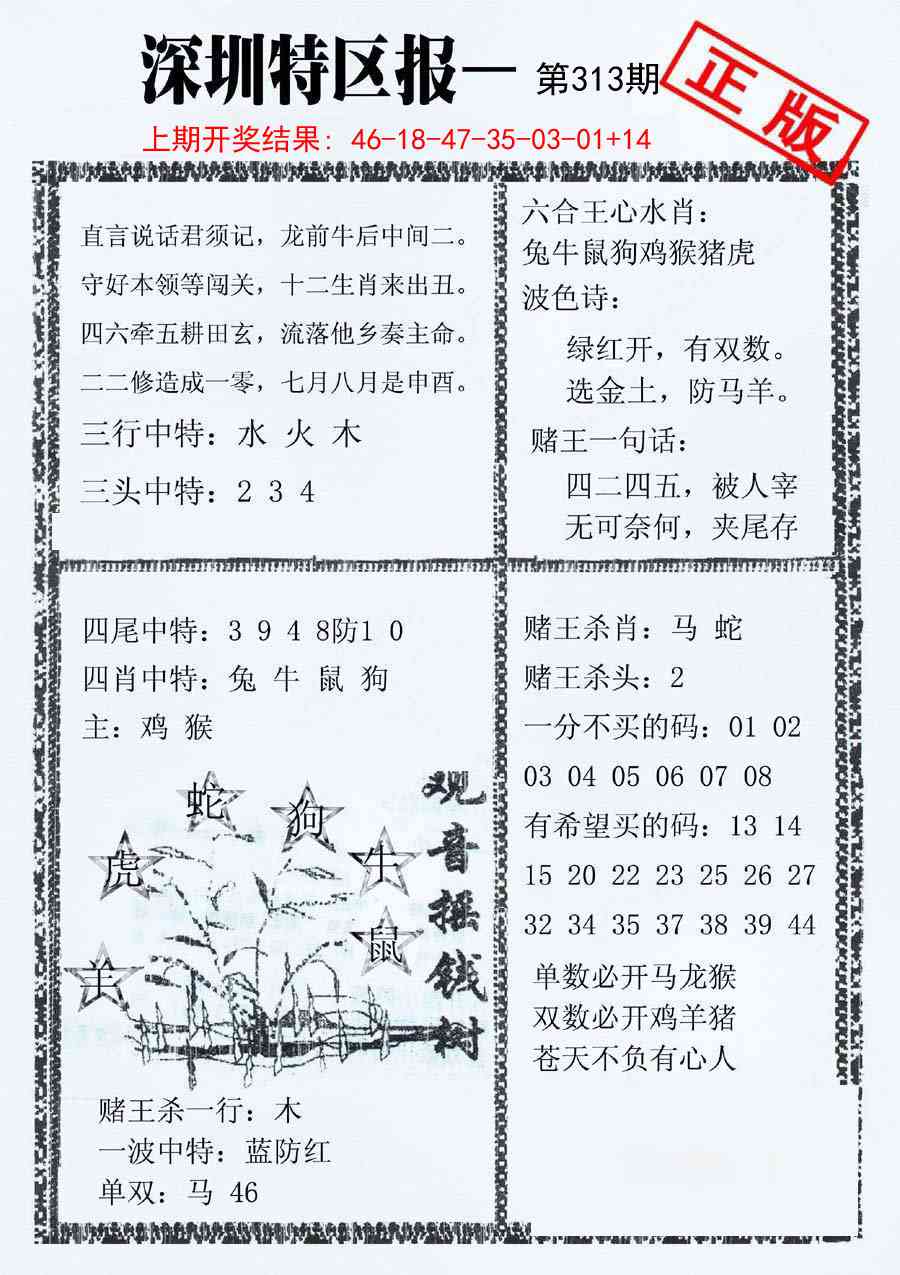 313期深圳特区报A[图]