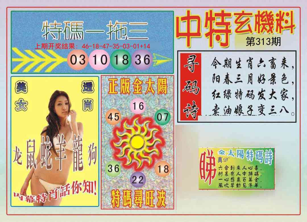 313期中特玄机料[图]
