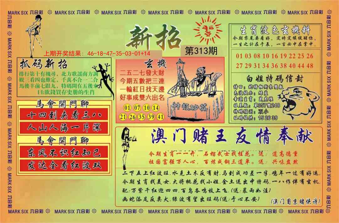 313期新招[图]