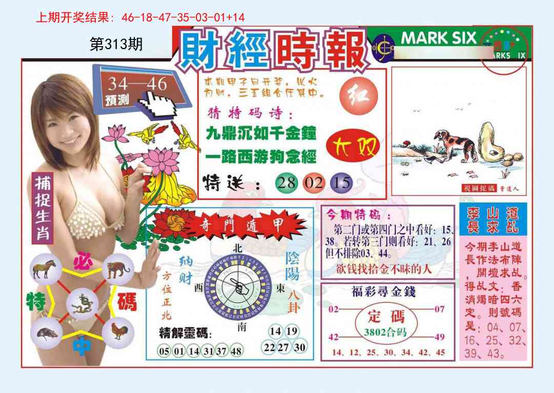 313期财经时报[图]