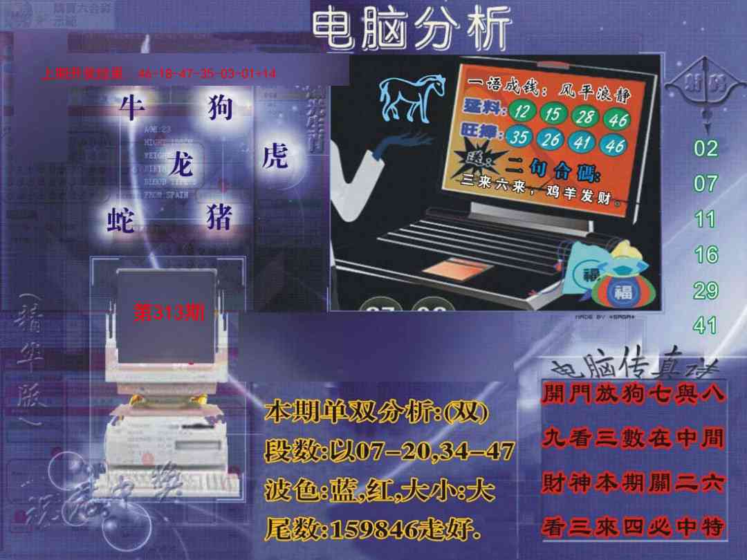 313期正版电脑分析贴士報[图]