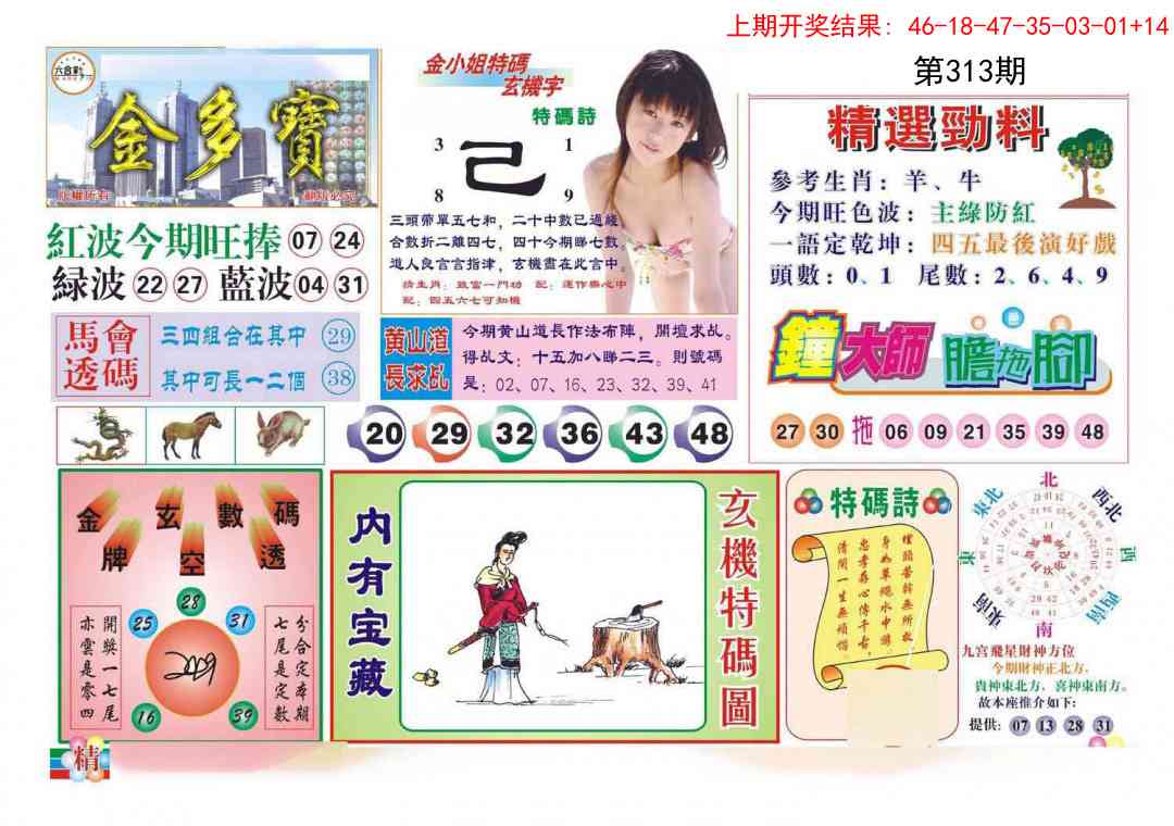 313期金多宝[图]