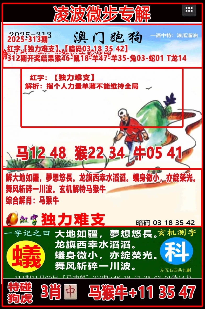 313期凌波微步[图]