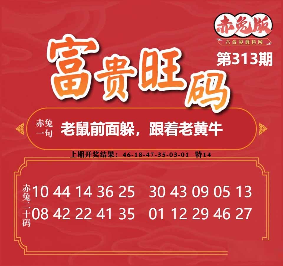 313期富贵旺码[图]