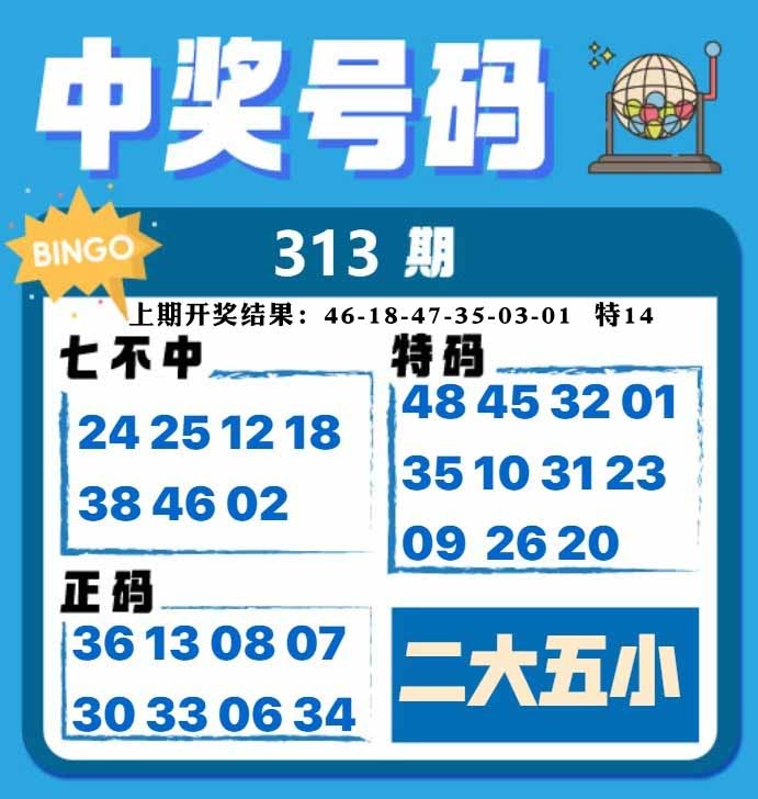313期中奖号码[图]