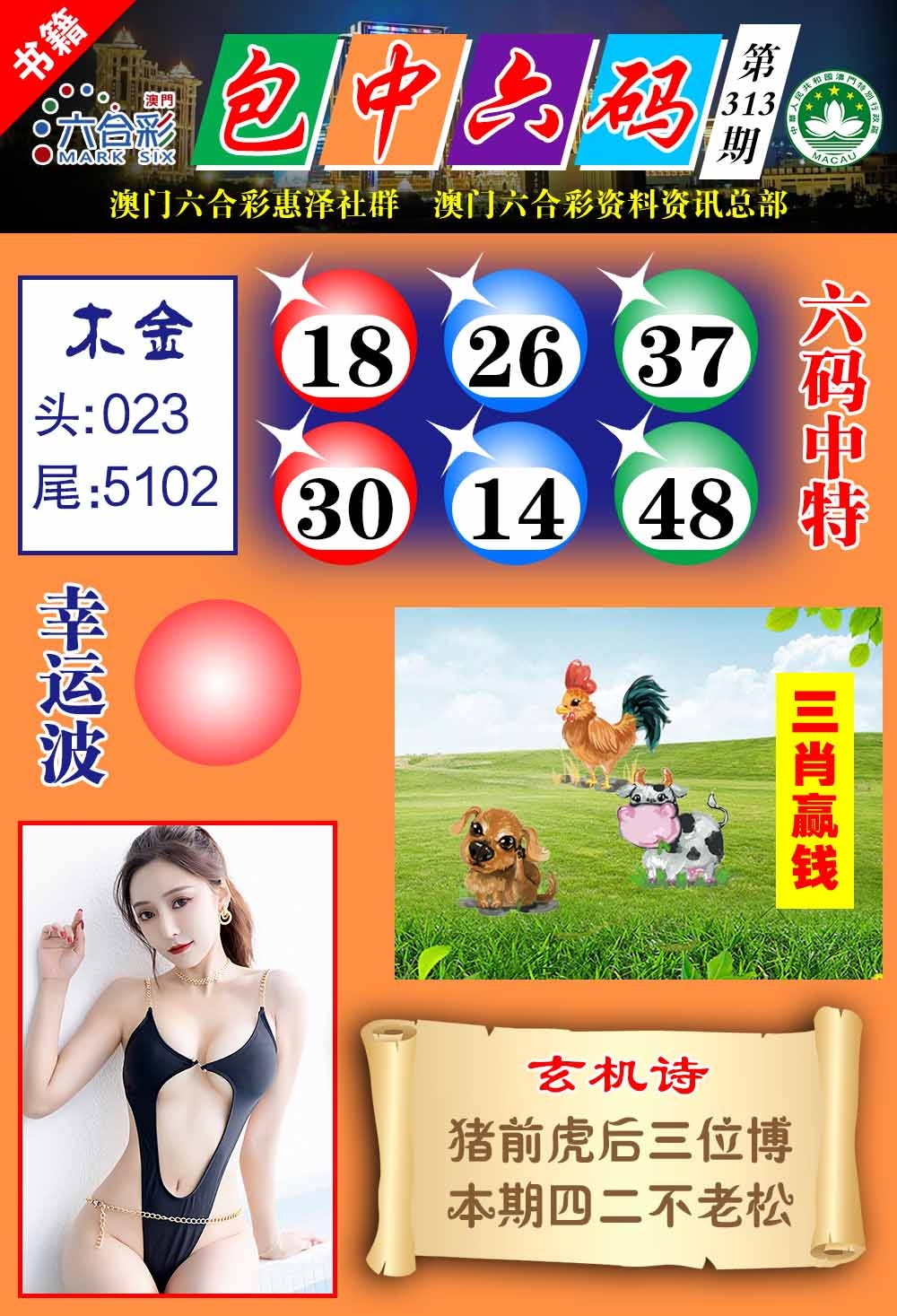 313期澳门包中六码[图]