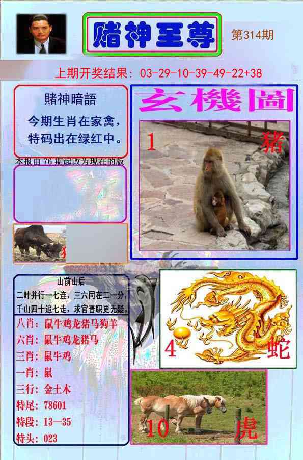 314期赌神至尊[图]
