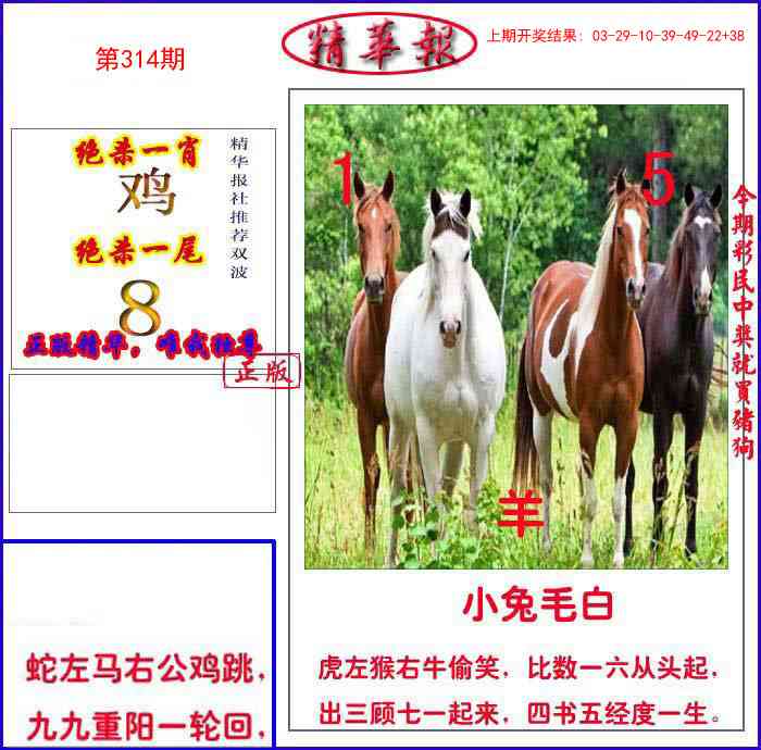 314期新精华报报[图]