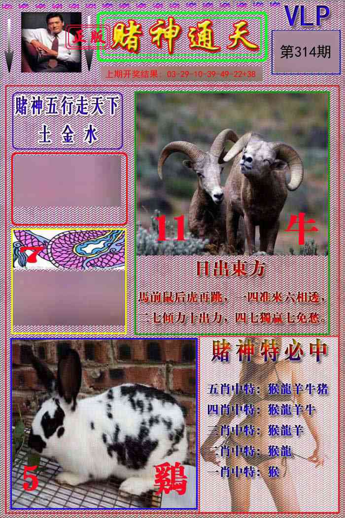 314期赌神通天报[图]