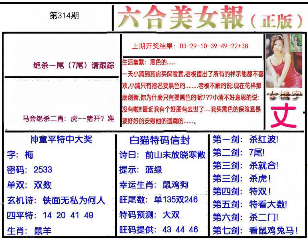 314期美女报[图]