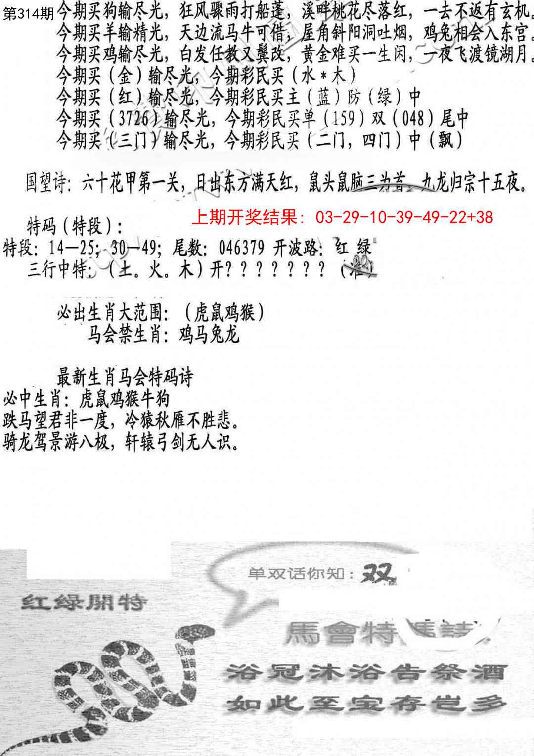 314期蛇报B[图]