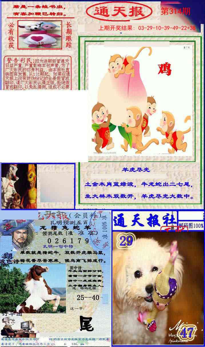 314期实力通天报[图]