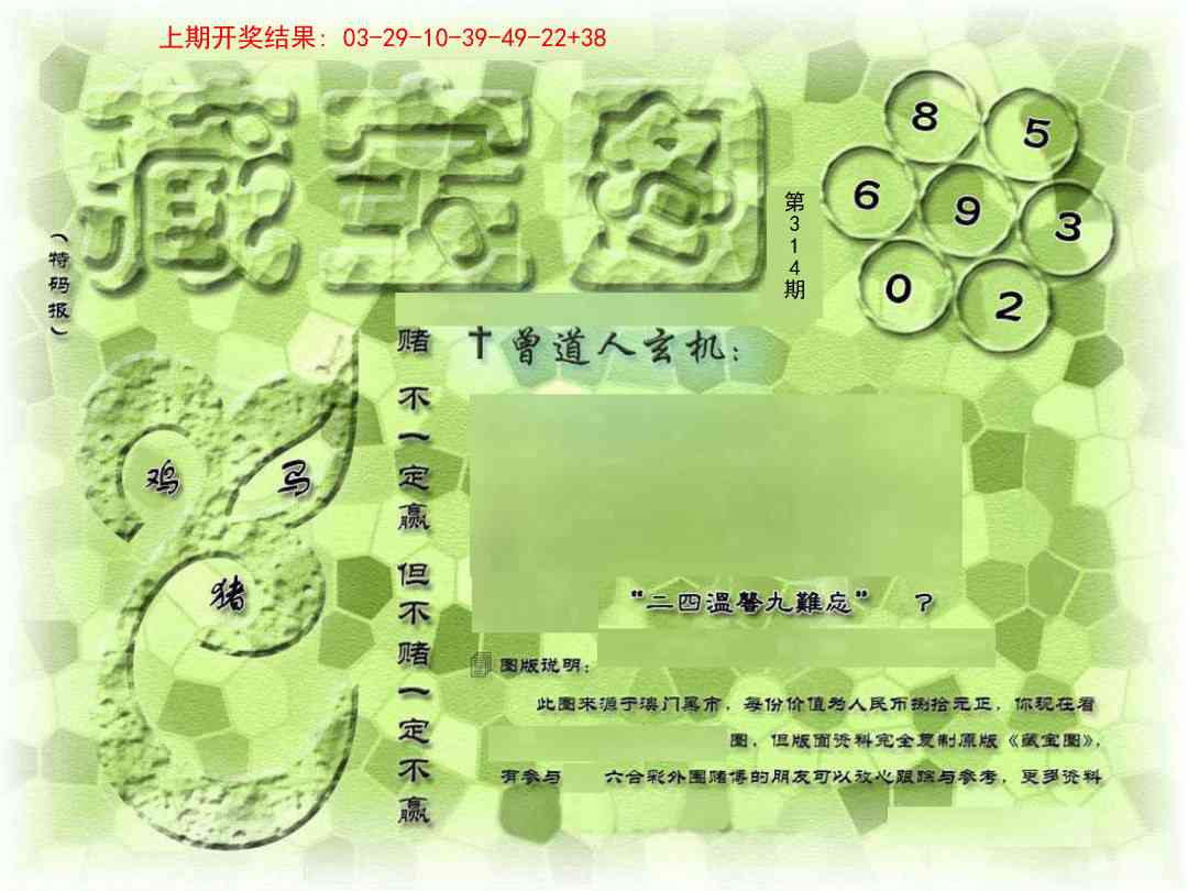 314期假新藏宝图[图]