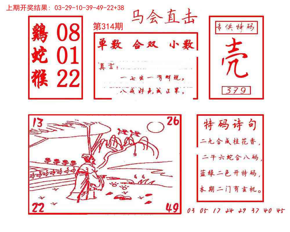 314期马会直击[图]
