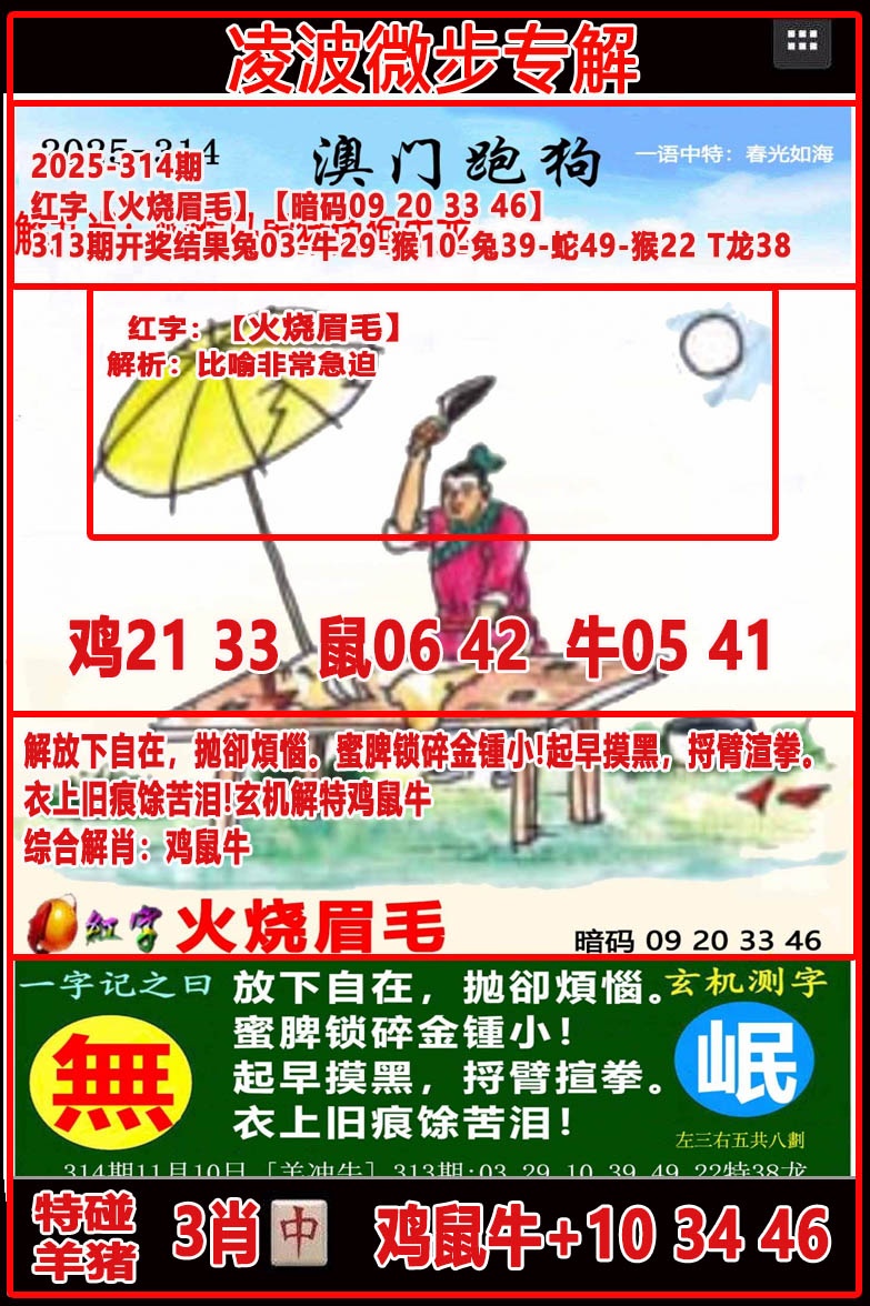 314期凌波微步[图]