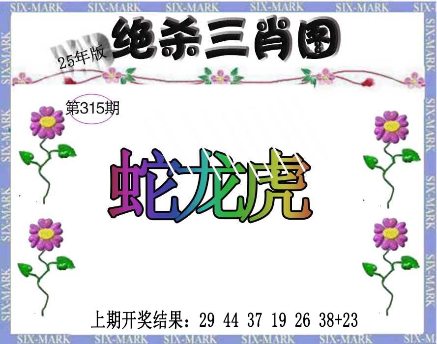 315期生财有道杀三肖[图]