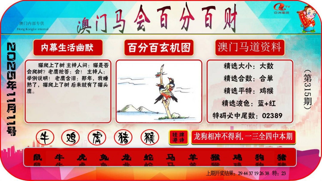 315期百分百财经[图]