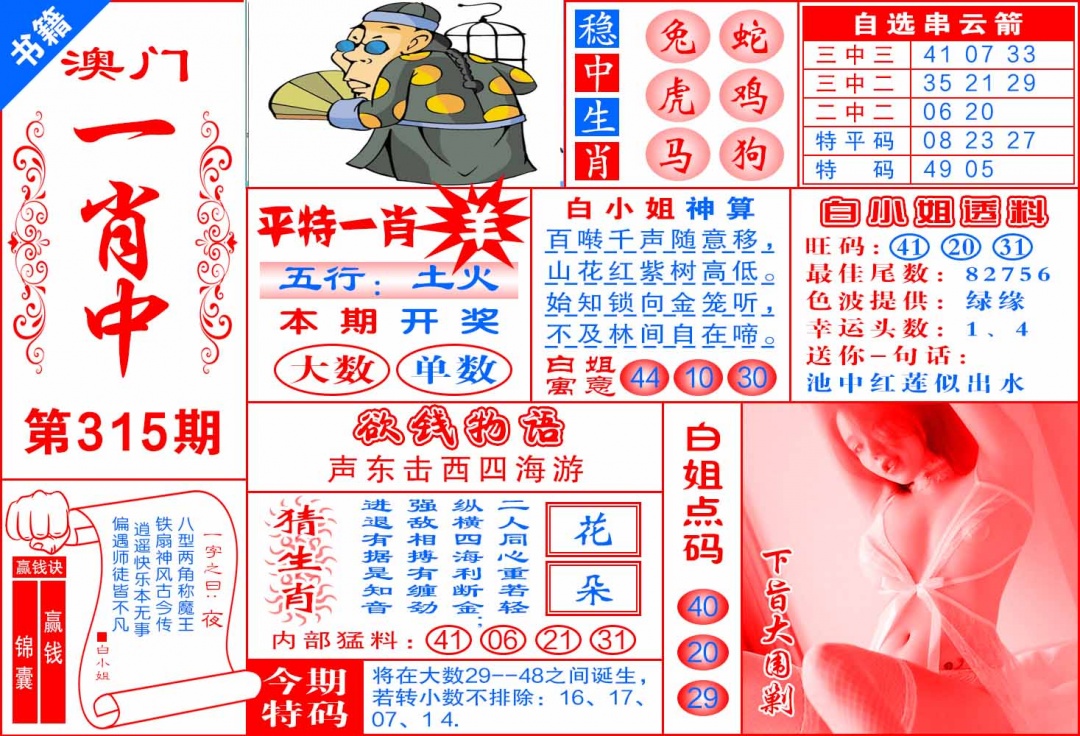 315期澳门锦囊宝典[图]